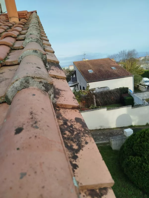 Rénovation ,Réfection de Faitage et Rives avec accrocheur et Hydrofuge, Bassin d'Arcachon, LSR HABITAT