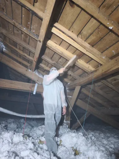 Présence de fourmis charpentières essentiellement et traces de xylophage. Nettoyage, brossage et décapage de la charpente pour une double pulvérisation croisée ainsi qu'un cerclage de poudre spécifique anti fourmis charpentière  