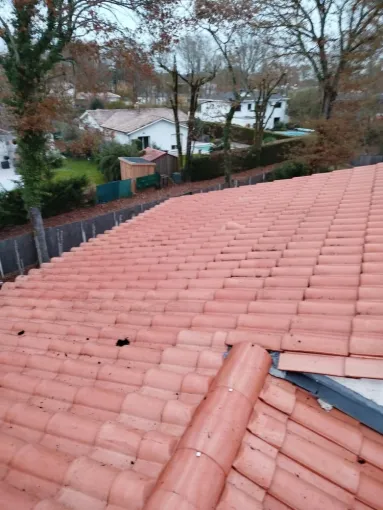 Démoussage de toiture en tuiles au Cap Ferret, Bassin d'Arcachon, LSR HABITAT