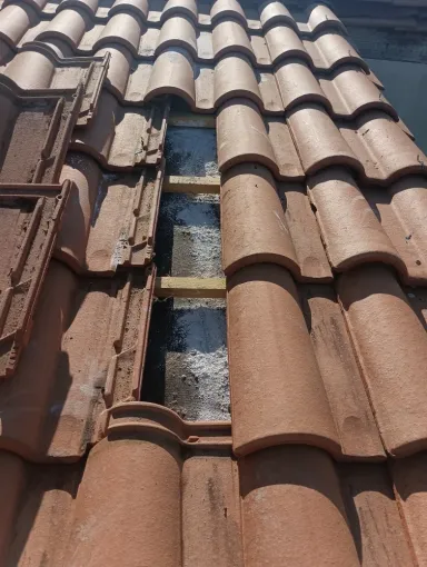 Traitement nuisible toiture Cap-Ferret, Bassin d'Arcachon, LSR HABITAT