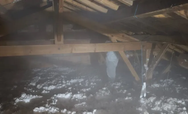 Traitement contre les nuisibles xylophages , Bassin d'Arcachon, LSR HABITAT