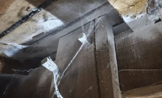 Traitement contre les nuisibles xylophages , Bassin d'Arcachon, LSR HABITAT